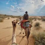 James Desert Experience - Final Thoughts: Who Will Love This Tour?