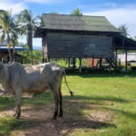 Jason's Countryside Experience - Itinerary Breakdown: What You Can Expect