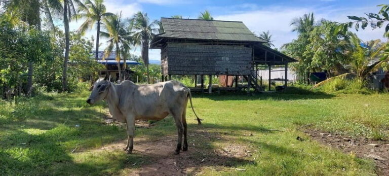 Jason's Countryside Experience - Itinerary Breakdown: What You Can Expect