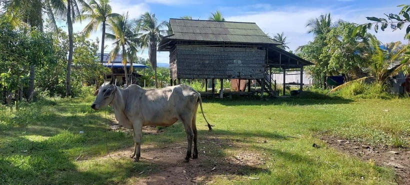 Jason's Countryside Experience - Itinerary Breakdown: What You Can Expect