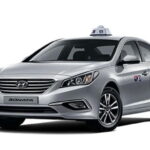 Jeju Cruise Shore Excursion Private Taxi Tour Car Charter - From the Eyes of Past Travelers