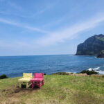 Jeju East: Cherry Blossom Early Bird Tour with Hotel Pickup - How Value Stacks Up