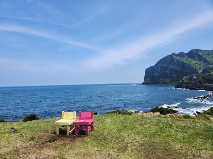 Jeju East: Cherry Blossom Early Bird Tour with Hotel Pickup - How Value Stacks Up