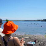 Jeju: Eastern UNESCO Join in Tour (Seongsan, Haenyeo) - Transportation and Group Dynamics