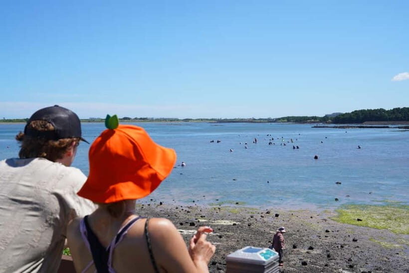 Jeju: Eastern UNESCO Join in Tour (Seongsan, Haenyeo) - Transportation and Group Dynamics