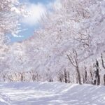 Jeju Island: East Jeju UNESCO Highlights Full-Day Tour - Exploring Jeju’s UNESCO and Natural Wonders