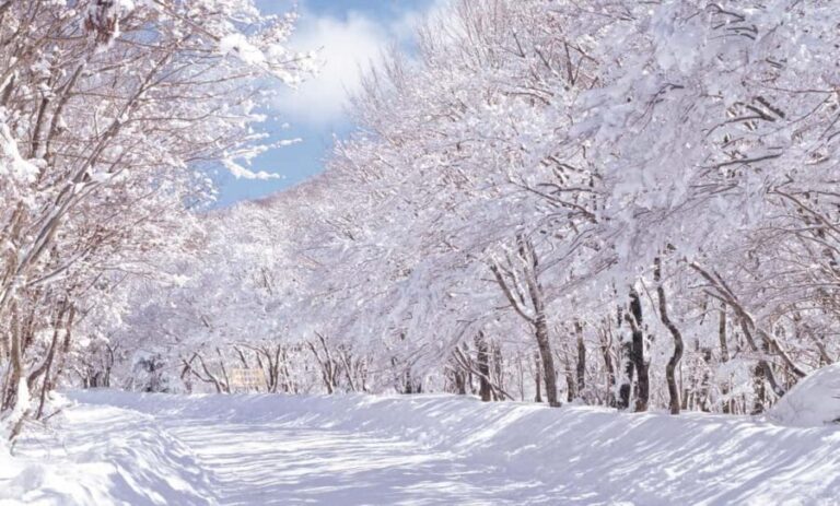 Jeju Island: East Jeju UNESCO Highlights Full-Day Tour - Exploring Jeju’s UNESCO and Natural Wonders