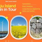 Jeju Island UNESCO Heritage Bus Tour - What to Expect from Transportation and Group Size
