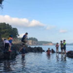 Jeju island: Van tour with a guide who the most loves JEJU - What to Expect and Practical Tips