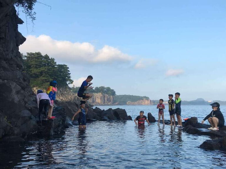 Jeju island: Van tour with a guide who the most loves JEJU - What to Expect and Practical Tips