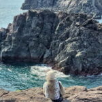 Jeju: Southern Top UNESCO Spots Tour - Final Thoughts