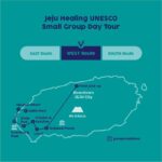 Jeju West: Small Group Healing Tour w/Caves & Dolphins - Practical Details and Value
