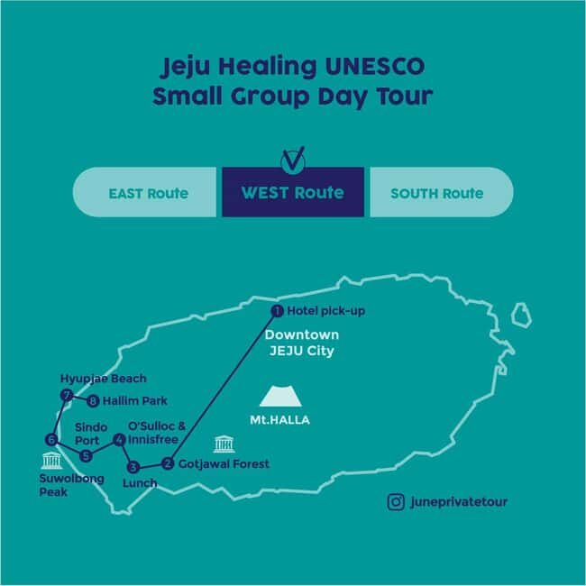 Jeju West: Small Group Healing Tour w/Caves & Dolphins - Practical Details and Value
