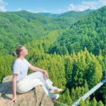 Jeonju Hanok Village Full-Day Tour:Jangtaesan Autumn Foliage - Jeonju Hanok Village: Korea’s Largest Hanok Settlement