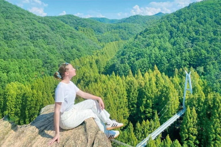 Jeonju Hanok Village Full-Day Tour:Jangtaesan Autumn Foliage - Jeonju Hanok Village: Korea’s Largest Hanok Settlement