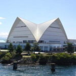 Kagoshima Aquarium Admission Ticket - Who Is This Tour Best For?