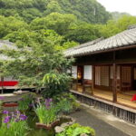 Kagoshima: Volcano & Nature Immersion Private Guided Tour - The Value of the Tour