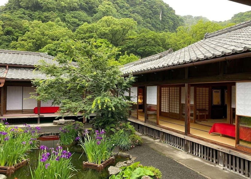 Kagoshima: Volcano & Nature Immersion Private Guided Tour - The Value of the Tour