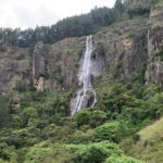 Kalupahana: Horton Plains Foothill Trail Guided Hike - Final Thoughts