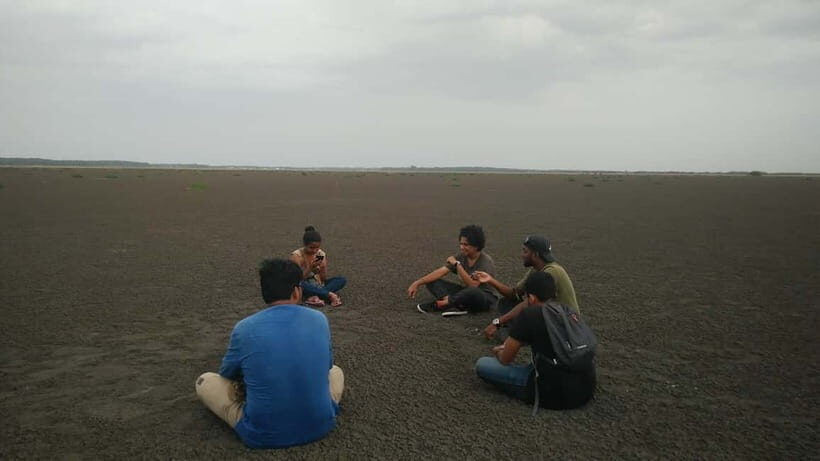 Kaluveli Wetlands Birdwatching Tour with Naturalist - Setting the Scene: What Is the Kaluveli Wetlands?