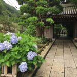 Kamakura: Private History and Heritage Tour by Rickshaw - Final Thoughts