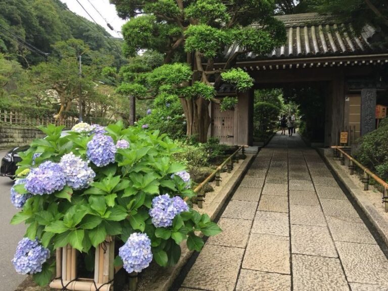 Kamakura: Private History and Heritage Tour by Rickshaw - Final Thoughts