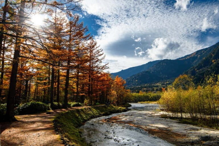 Kamikochi & Matsumoto Castle: Nature & Heritage Day Tour - Logistics and Practicalities