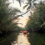 Kampot Pepper farm & Kayak trip around Green cathedral Sunse - Practical Insights and Value