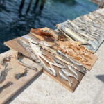 KAMPUNG GIPSI-DAY TRIP TO BAJAU HEAVEN FREE NASIGORENG & TEH - Authenticity and Insight from Reviews