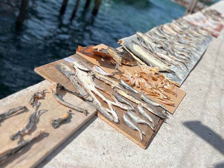 KAMPUNG GIPSI-DAY TRIP TO BAJAU HEAVEN FREE NASIGORENG & TEH - Authenticity and Insight from Reviews