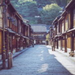 Kanazawa: Daimyo Villa and Kenrokuen Garden Geisha Tour - Who Will Love This Tour?