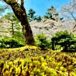 Kanazawa Full Day Private Tour to Top Highlights with Local Guide - Who Would Love This Tour?