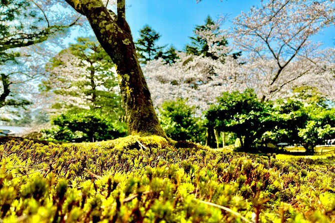 Kanazawa Full Day Private Tour to Top Highlights with Local Guide - Who Would Love This Tour?