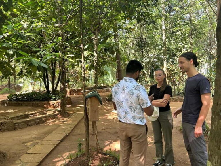 Kandy & Pinnawala Day Tour From Colombo or Negombo - Who Is This Tour Best For?