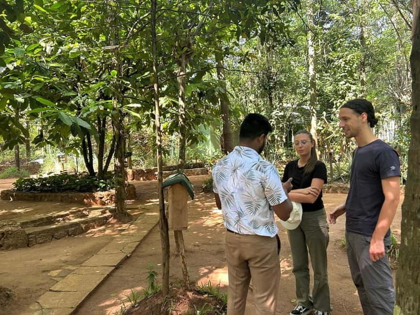 Kandy & Pinnawala Day Tour From Colombo or Negombo - Who Is This Tour Best For?