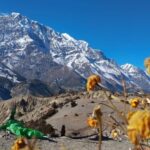 Kathmandu: 11-Day Annapurna Circuit Guided Trek via Tilicho - Transportation & Logistics