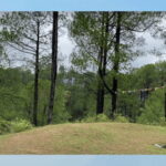 Kathmandu: 3-4 Hrs Hiking at Shivapuri National Park - An In-Depth Look at the Hike