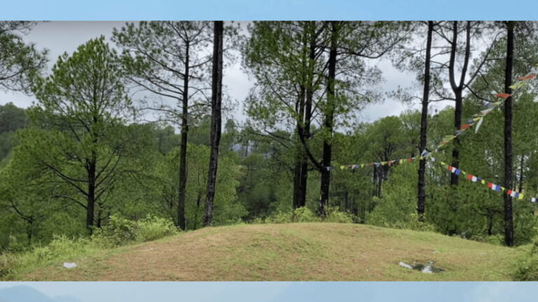 Kathmandu: 3-4 Hrs Hiking at Shivapuri National Park - An In-Depth Look at the Hike