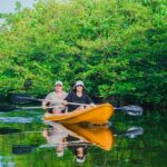 Kayaking Adventure on serene waters through mangroves, Akurala - An Authentic Look at the Akurala Kayaking Tour