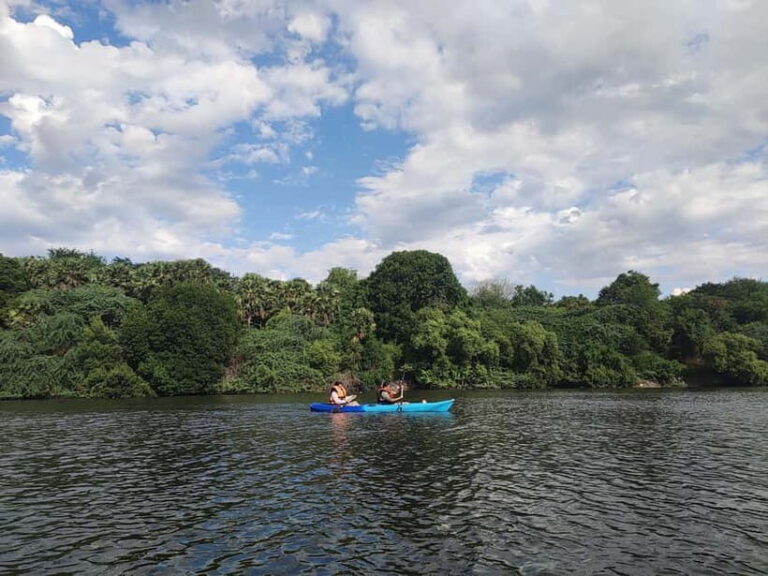 Kayaking in Backwaters of Pondicherry - Final Thoughts