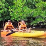 Kayaking Mangrove Adventure at Havelock - The Itinerary: What to Expect