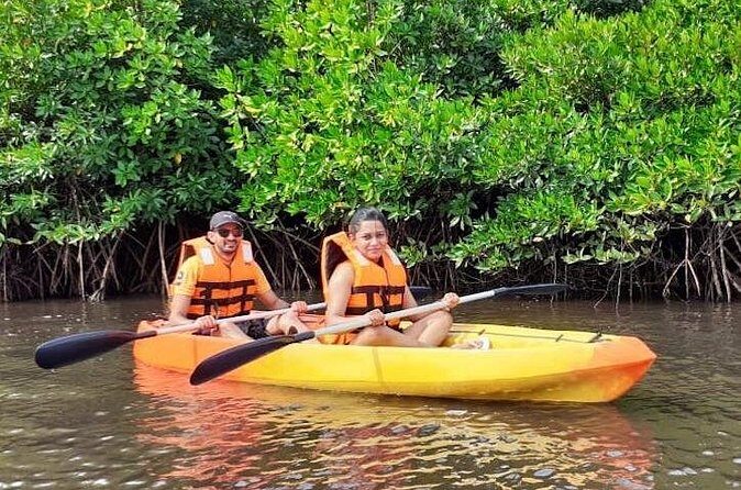 Kayaking Mangrove Adventure at Havelock - The Itinerary: What to Expect