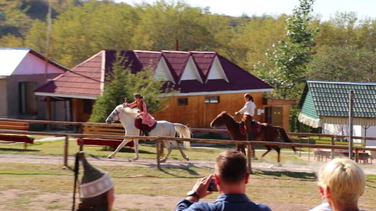 Kazakh Ethno-village Tour - Practical Details and Tips