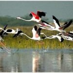 Keoladeo Bird Park Tour with one way transfer Jaipur to Agra - Frequently Asked Questions