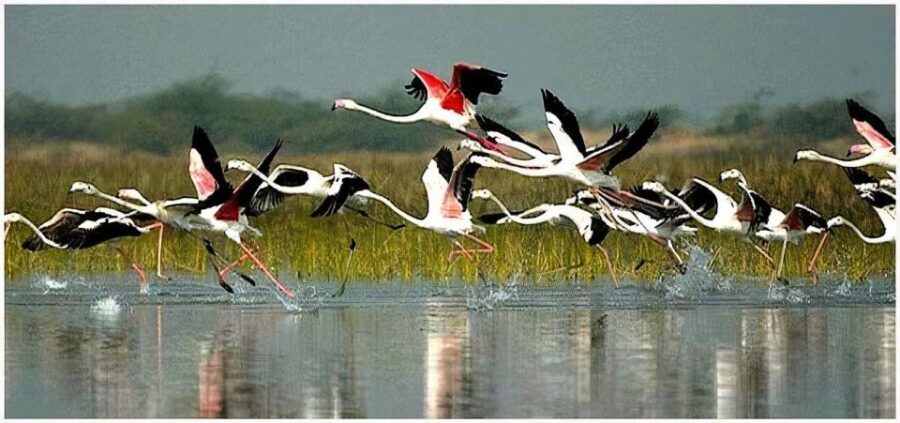 Keoladeo Bird Park Tour with one way transfer Jaipur to Agra - Frequently Asked Questions