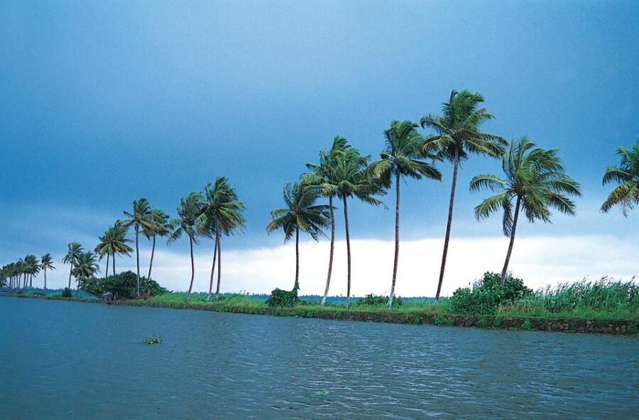 Kerala: Alappuzha River Cruise with Village Walk - A Closer Look at the Itinerary