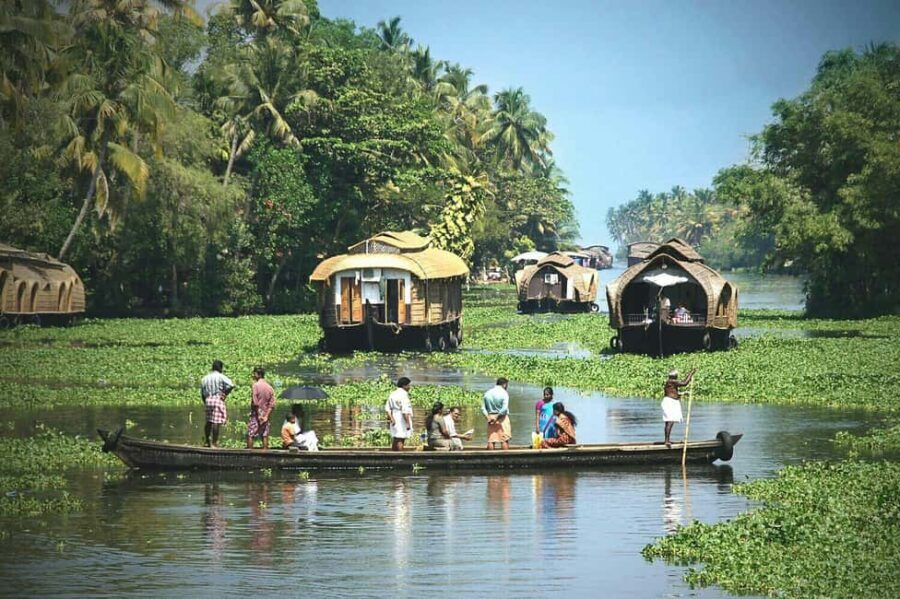 Kerala Houseboat Tour To Alapuzha - A Closer Look at the Kerala Houseboat Experience