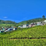 Kerala  Munnar & Alleppey Houseboat Package - The Real Value of This Kerala Tour