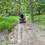 Khao Lak: ATV Park Quad-Bike Tour - Key Points