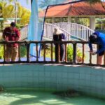 Khao Lak: Waterfall,Sea Turtle,Elephant Care,Meal & Transfer - Visiting Sai Rung Waterfall: A Refreshing Break